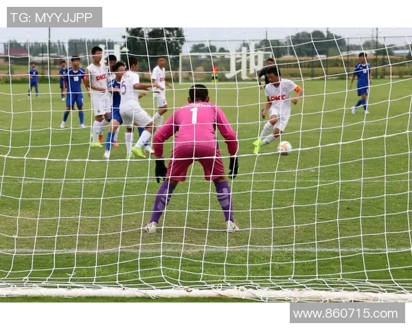 陕西足球出走背后的原因与未来发展之路探讨